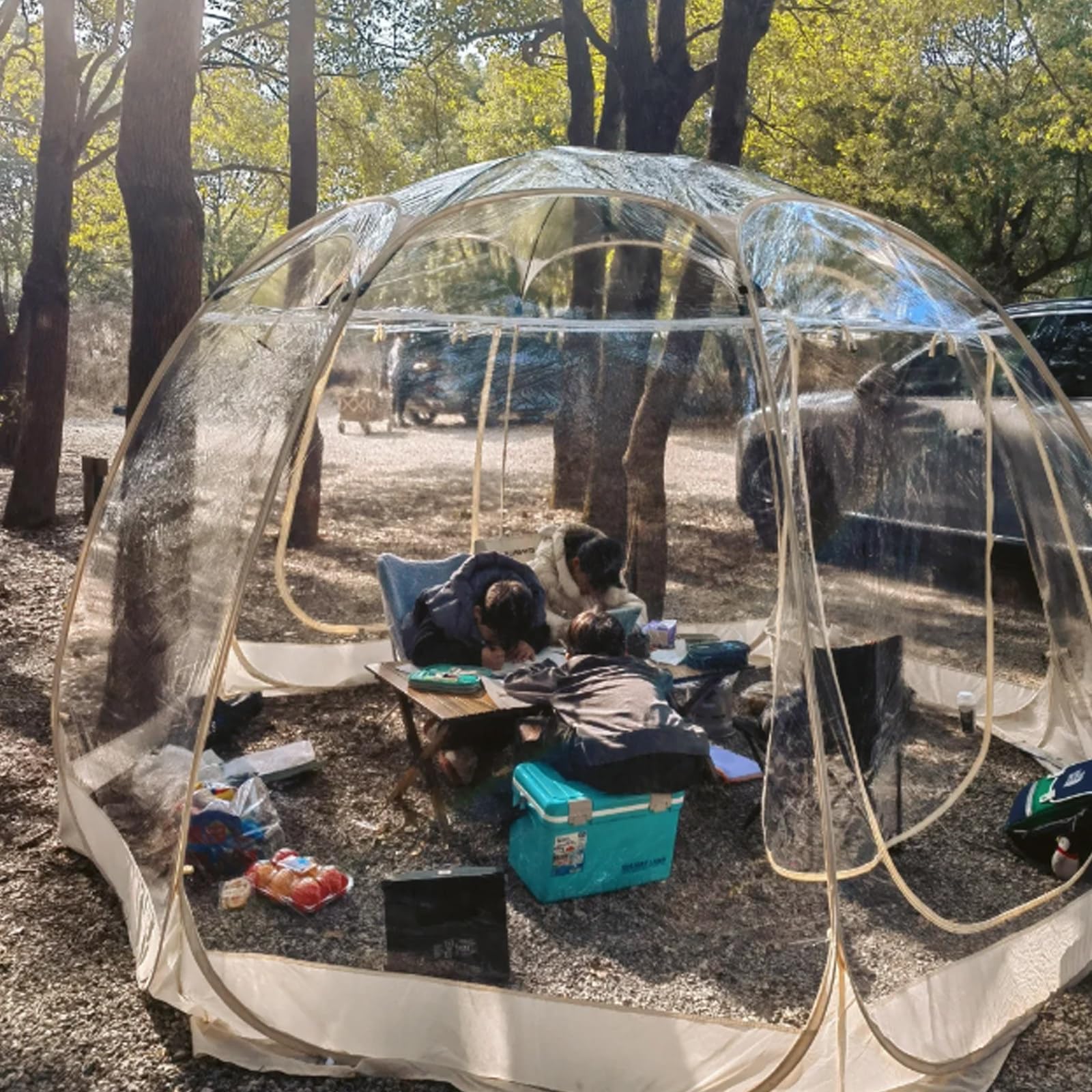 Clear Inflatable Bubble Tent, Luxurious Inflatable Dome Bubble House, Transparent Large Outdoor Tents, For Camping, Backyard, Large Family Tents,110v-13ft