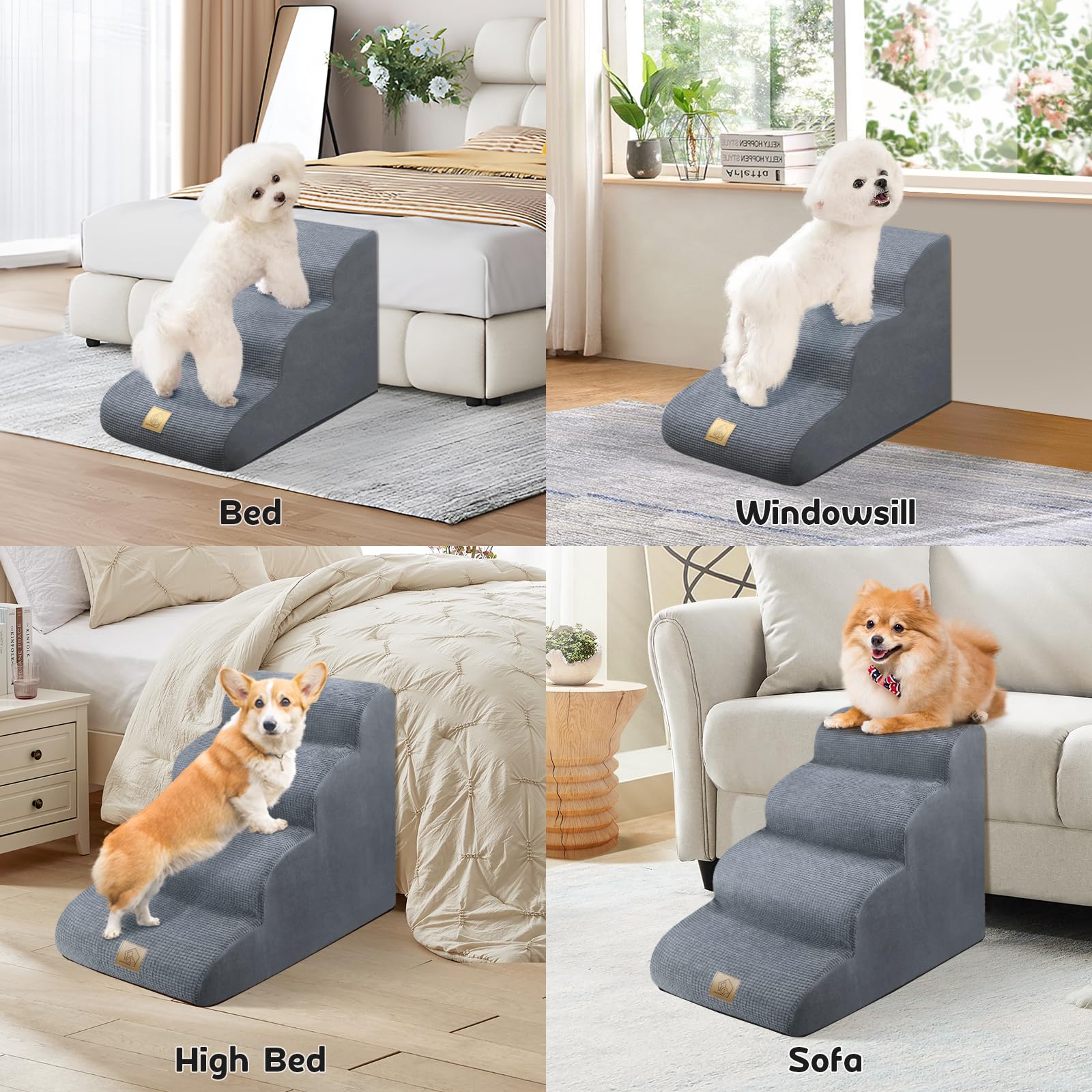 https://m.media-amazon.com/images/I/81rodzIqhmL.jpg
