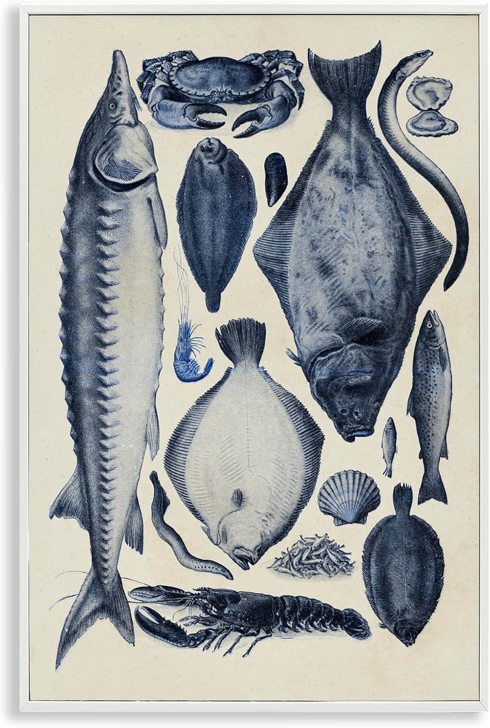 Stupell Industries Scientific Marine Life Chart White Framed Giclee Art design by Alicia Longley, 30 x 20 Stupell Industries Scientific Marine Life Chart White Framed Giclee Art design by Alicia Longley, 30 x 20