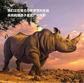 サイ　動物ペン画No.13 61FXS3-UHbS._UF350,350_QL50_.jpg