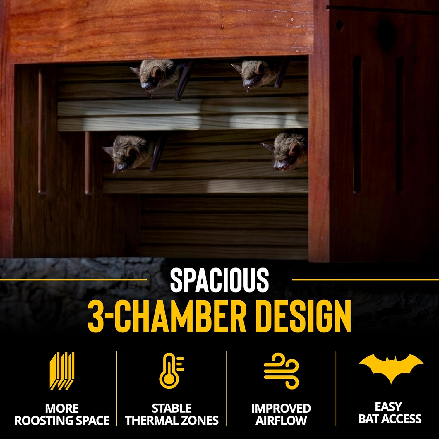 Skycave Pro Large Cedar Bat Houses for Outdoors, 3-Chamber, 200 Capacity | Kiln-Dried Japanese Cedar | Stained, Not Painted | 304 Stainless Steel Hardware | Wall, Pole & Tree Mount Ready