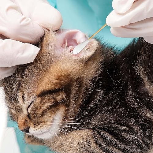 Miniatura 4 de Egaageoi Hisopos de orejas de 6 pulgadas para perros, 200 hisopos de algodón grandes para orejas de perro, limpieza suave, puntas extra absorbentes,