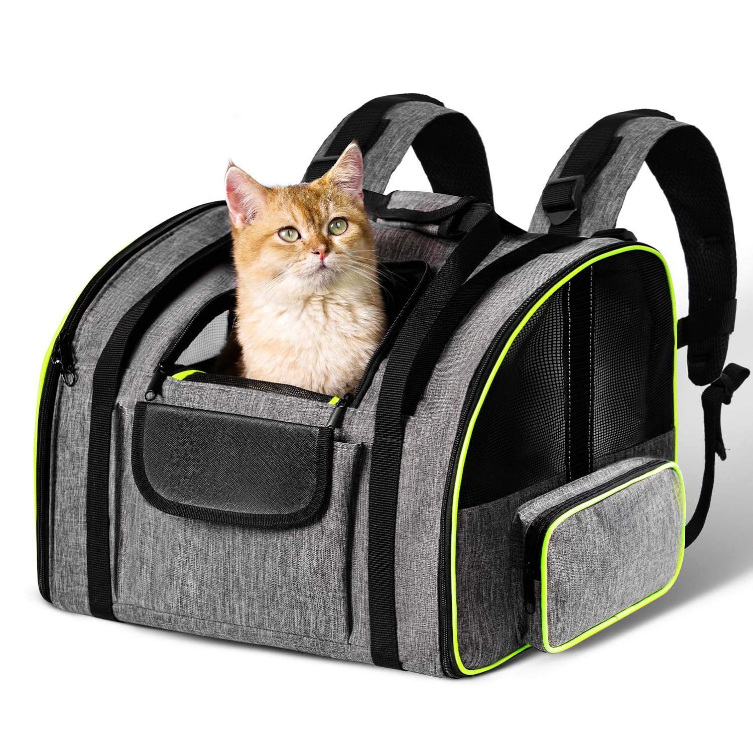 Cat Backpack