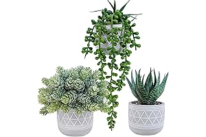 Winlyn Mini Faux Succulents - Perfect Boho Shelf Decor