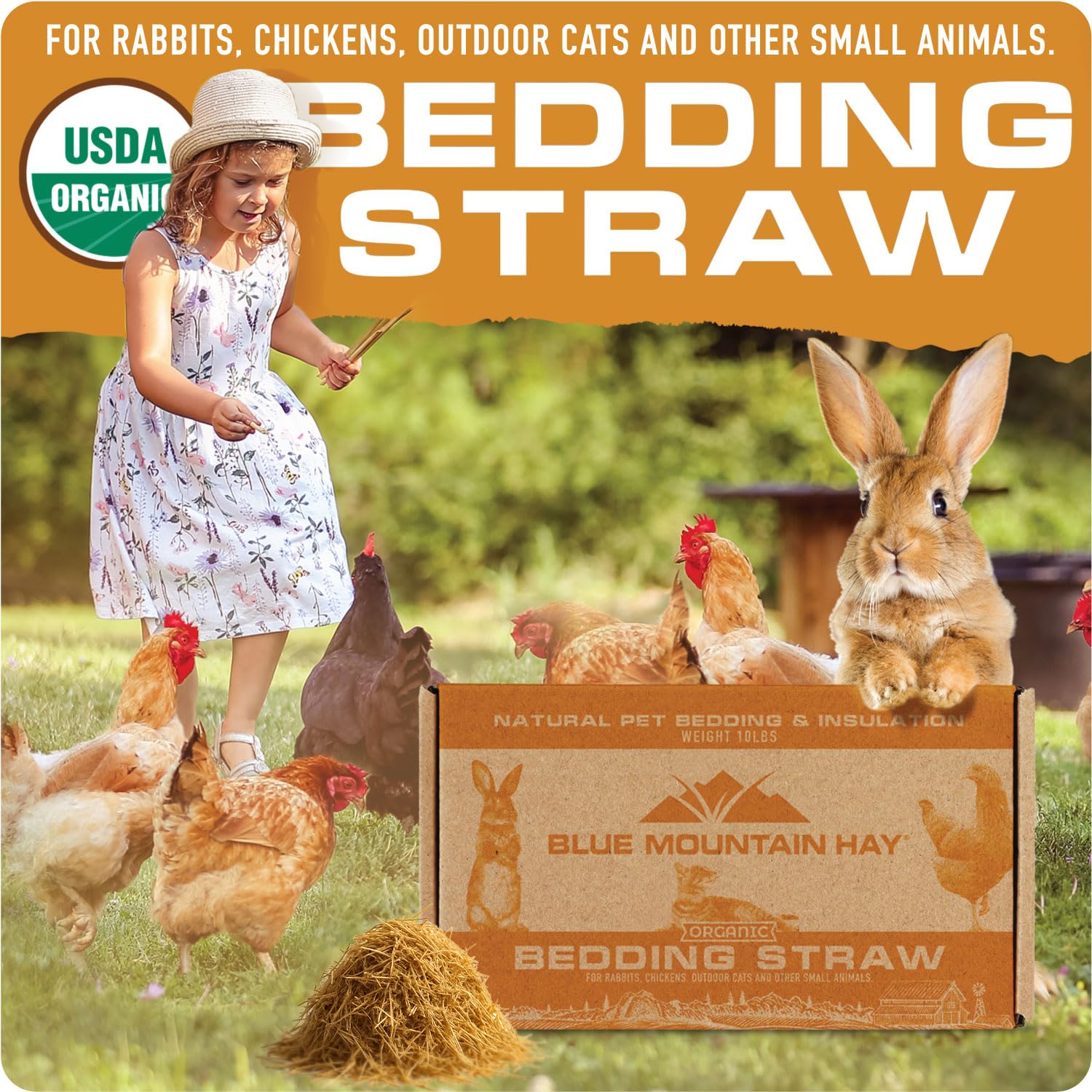 Blue Mountain Hay Bio-Strohhalm (11,3 kg), natürlicher Tier-Strohhalm für Meerschweinchen, Chinchillas, Kaninchen, Hamster, Hühner, Wildkatzen und Hühnerstall, Haustier-Strohhalm, Haustier-Strohhalm