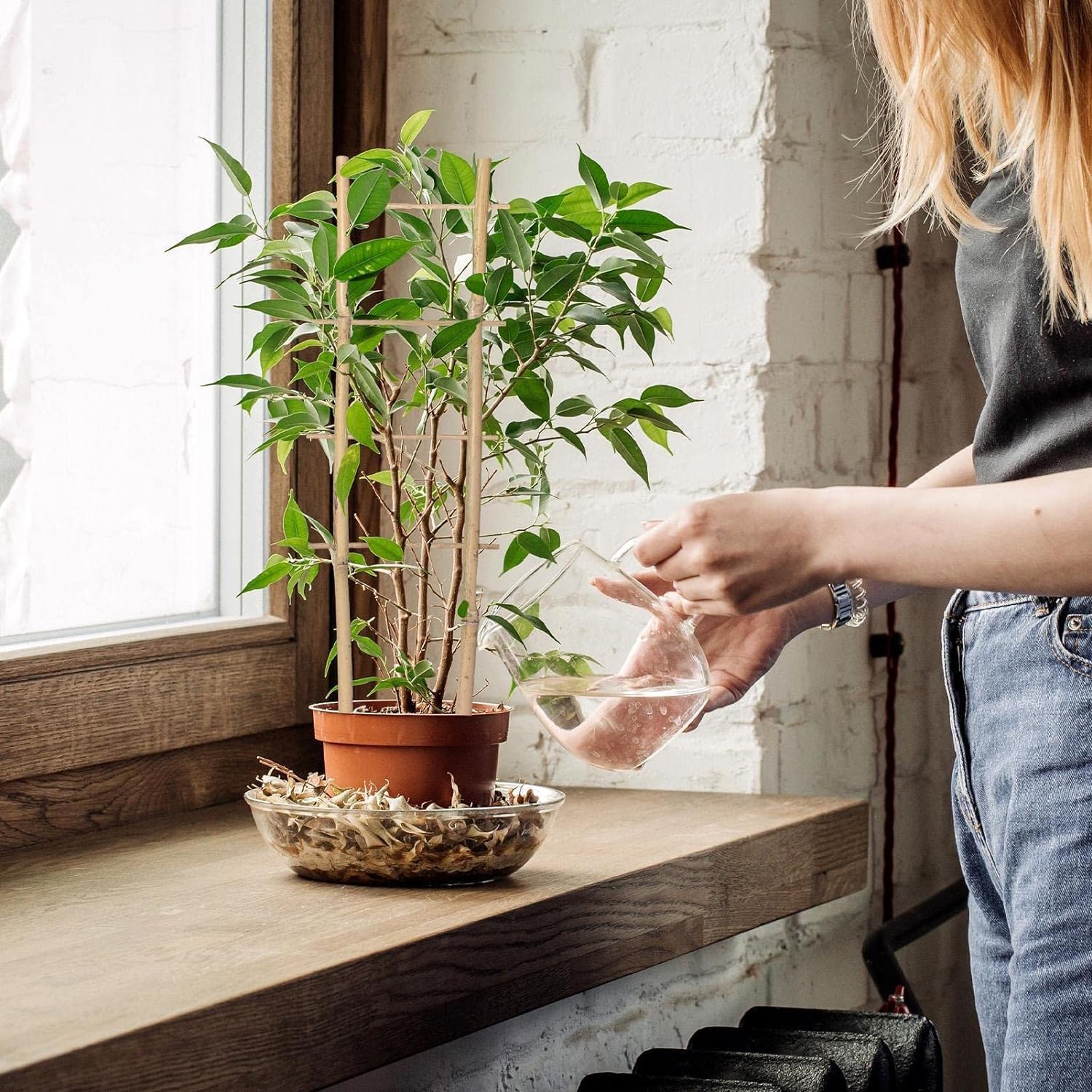 RDAHSUEHH Rankgitter aus natrlichem Bambus, fr Kletterpflanzen, Rankhilfe  fr Monstera, Orchidee, Rankpflanze, Zimmerpflanze, 6 Stck : Amazon.de:  Garten
