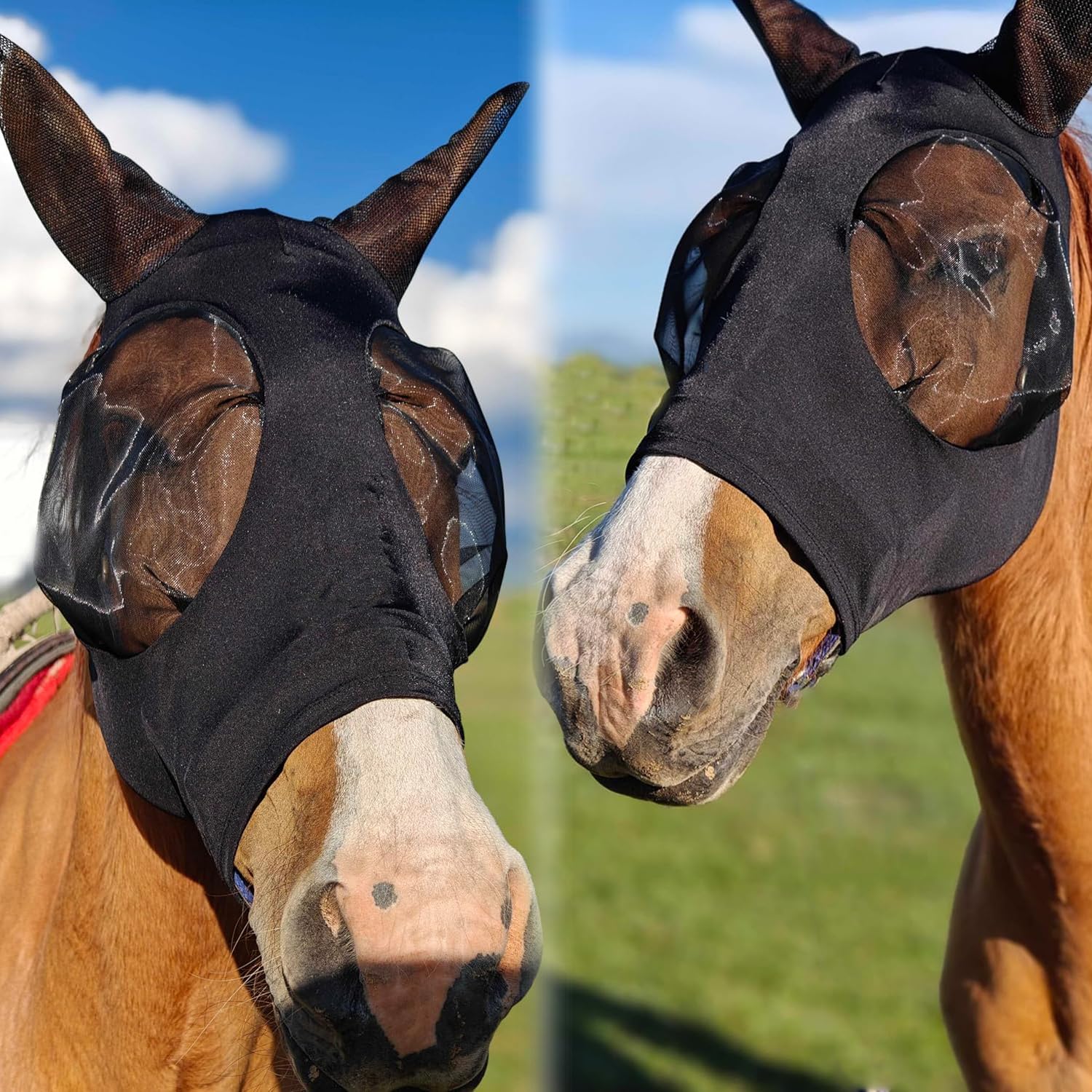 Máscara Anti-Moscas Protección con Orejas, Elasticidad Máscara de Mosca, Máscara Anti Moscas para Caballo, Excelente Comodidad con Protección UV, Máscara Estándar para Caballos