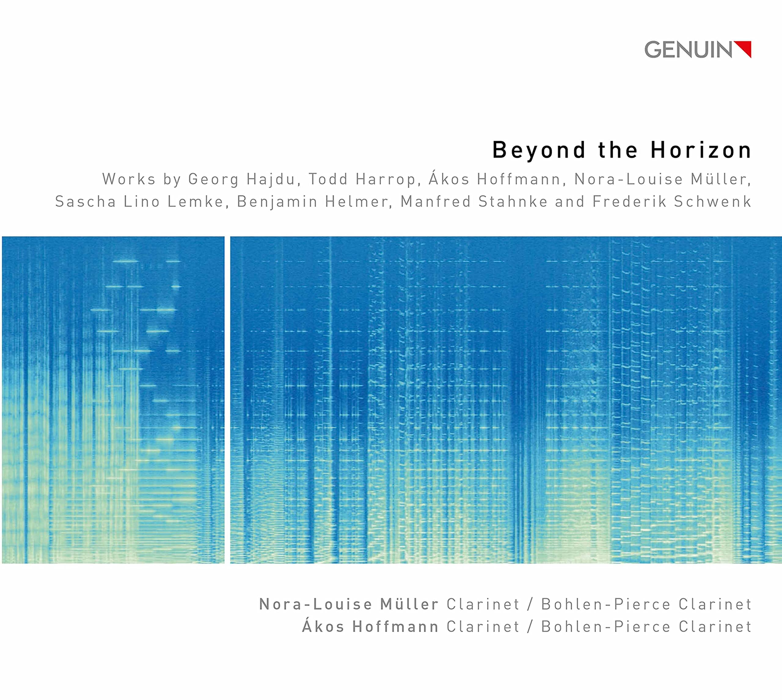Beyond the Horizon