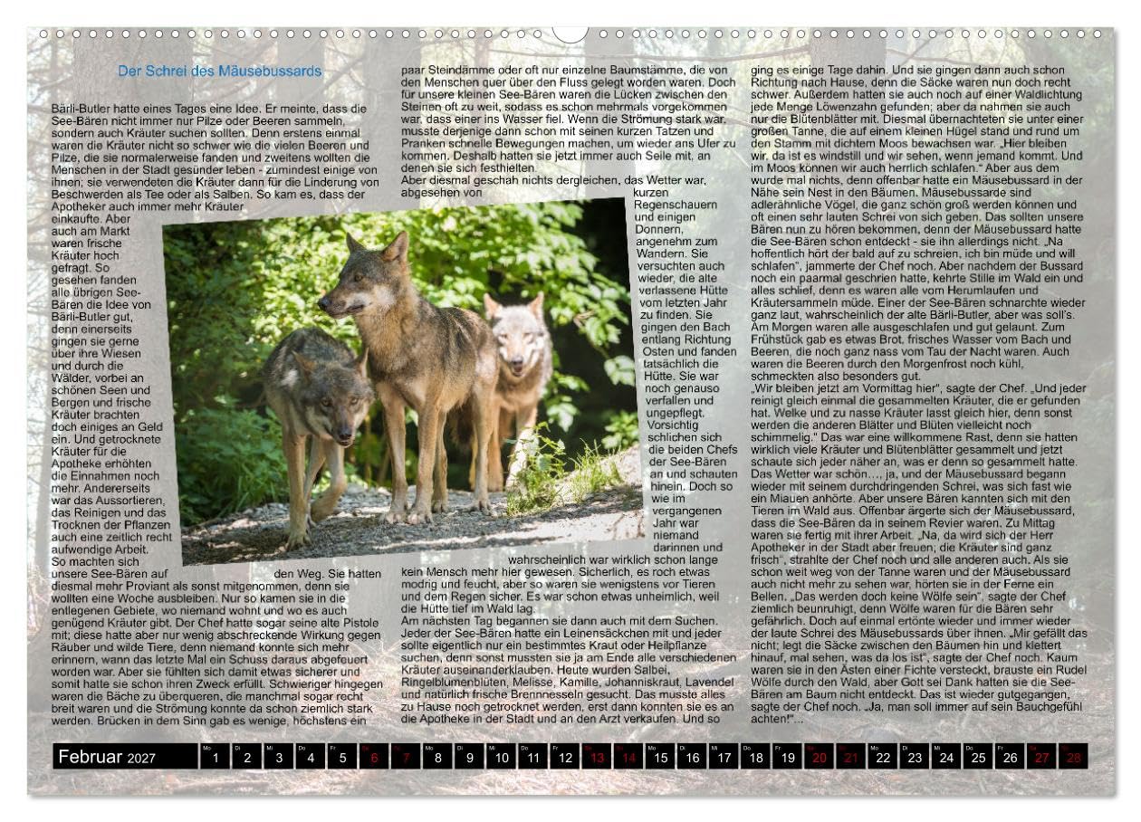 CALVENDO - Neue Abenteuer der See-Bären (Wandkalender 2027 DIN A2 quer), Monatskalender: Das etwas andere "Kinderbuch"...
