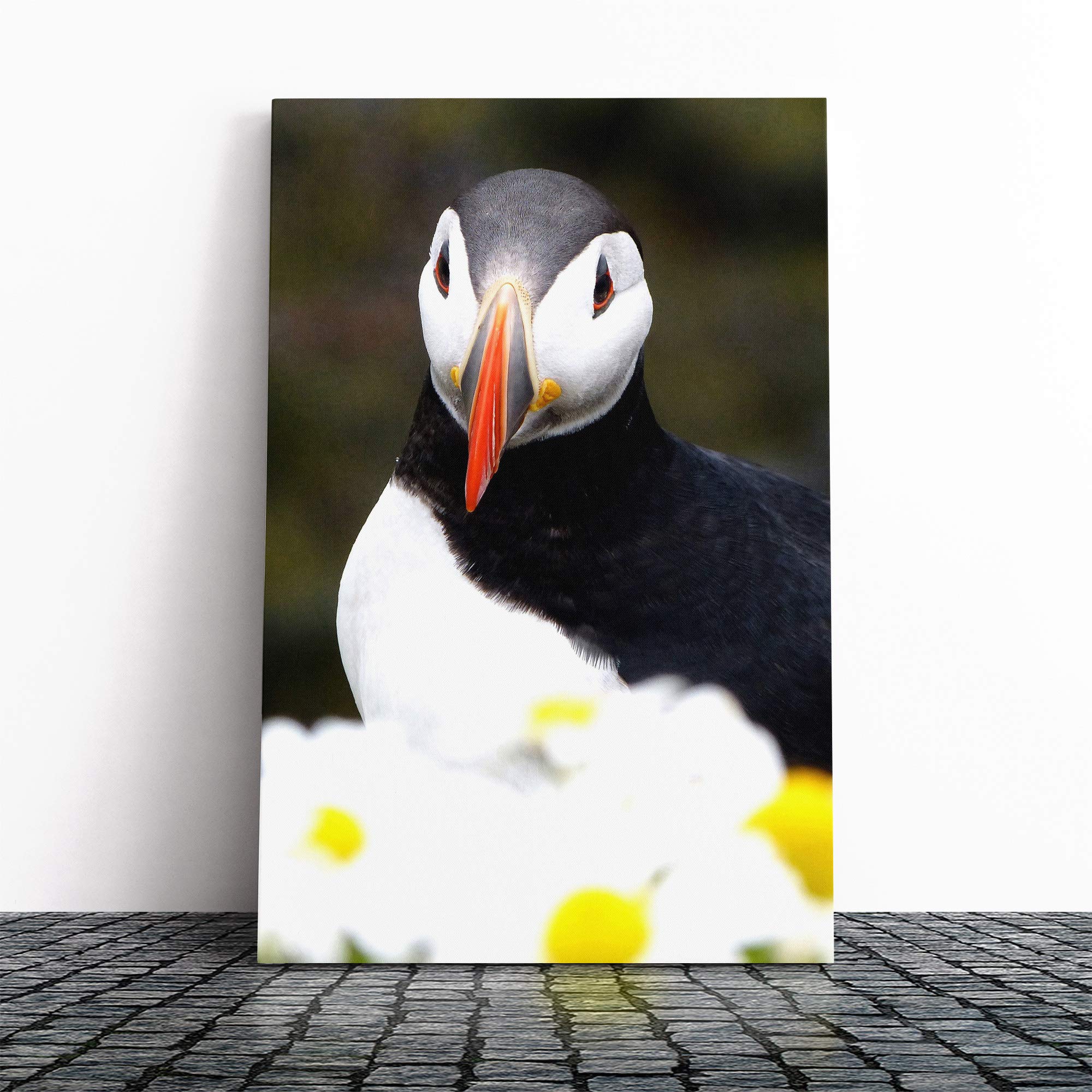Atlantic Puffin Bird Canvas Print | Gallery Wrapped 30mm Frame Wall Art | 24x16 inches | Ready to Hang | Modern Animals Picture | Living Room Bedroom Lounge Office