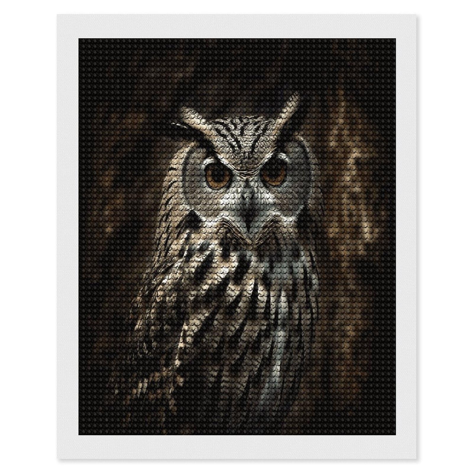 an Owl Diamond Art Kits for Adult Round Full Drill Diamond Dots Paintings for Beginner Picture Art DIY Diamond Painting Kits 5D Diamond Art Painting for Home Wall Decor 16"x20"