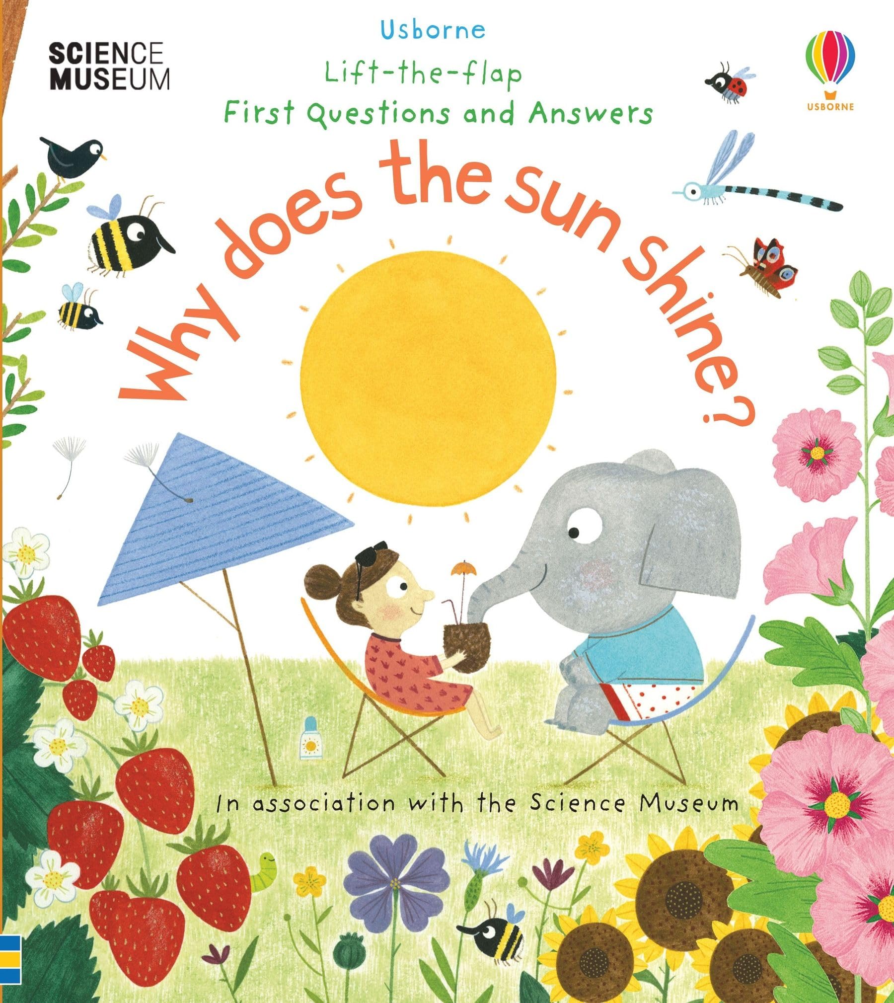 First Questions and Answers: Why Does the Sun Shine? by Katie... - 9781474948173