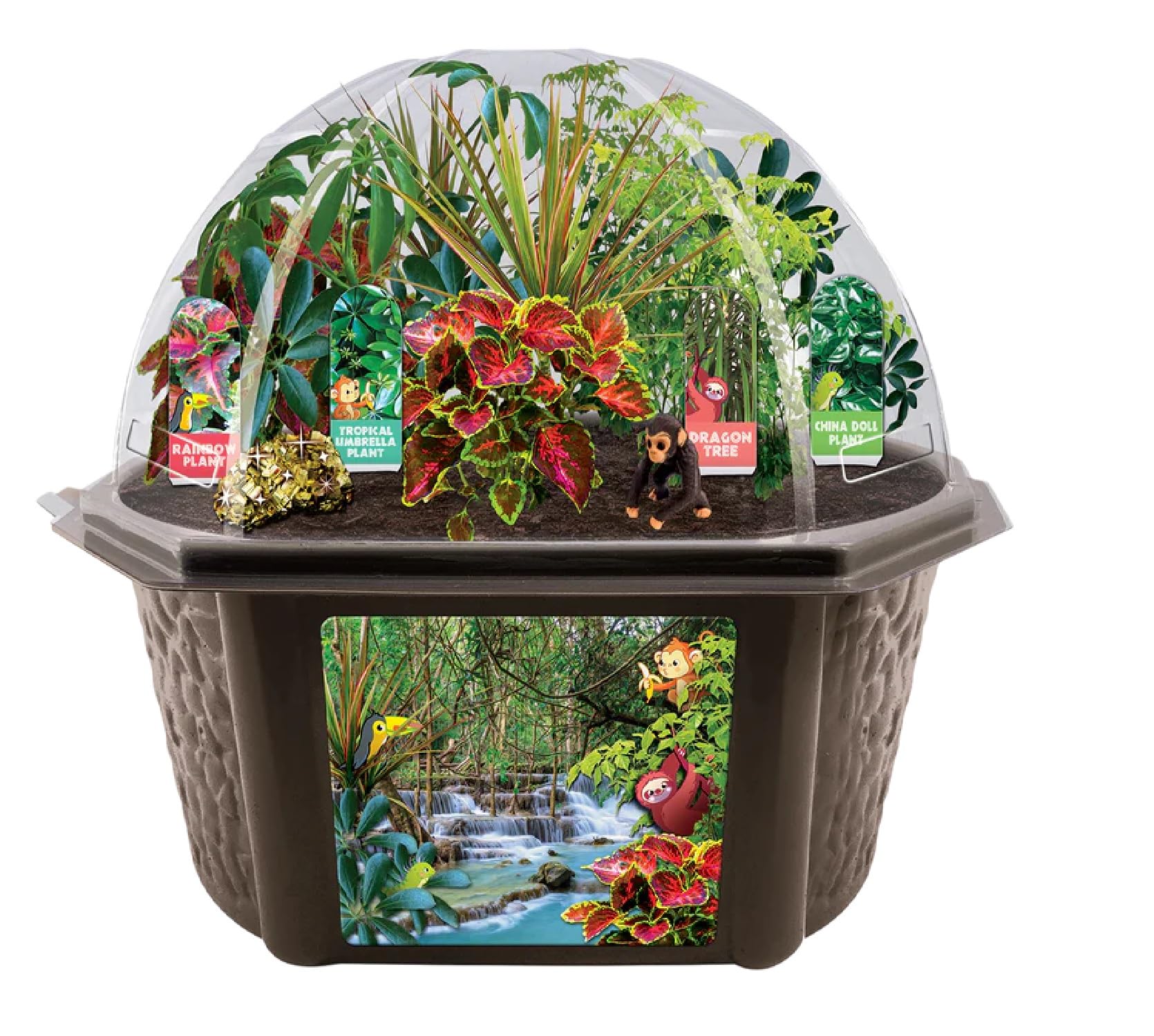 Toys by Biosphere Terrarium-Starter-Set mit komplettem Zubehör, um Ihren eigenen Dschungel zu erschaffen! Zimmerpflanzen für Heimausstellungen und Gärten (Tropischer Regenwald-Dschungel)