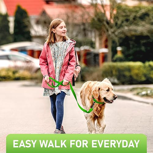 Miniatura 7 de Correa impermeable para perro de 6 pies, fabricada en Estados Unidos, correas resistentes para perros grandes, medianos y pequeños, entrenamiento