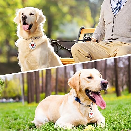 Miniatura 5 de Placa para perro de servicio, etiquetas de perro GISUERY grabadas para mascotas con 4 líneas personalizadas, se fija fácilmente al arnés del chaleco