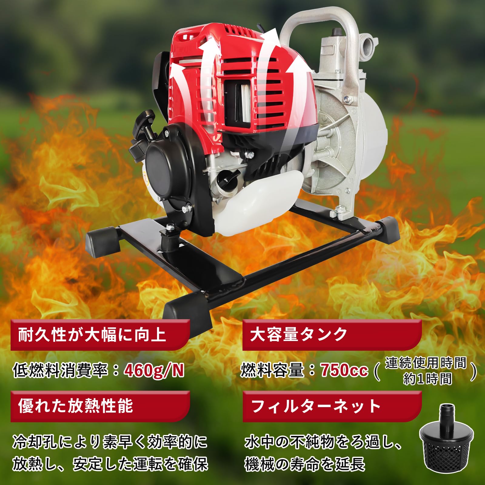 稲系 L128497_v1.jpg