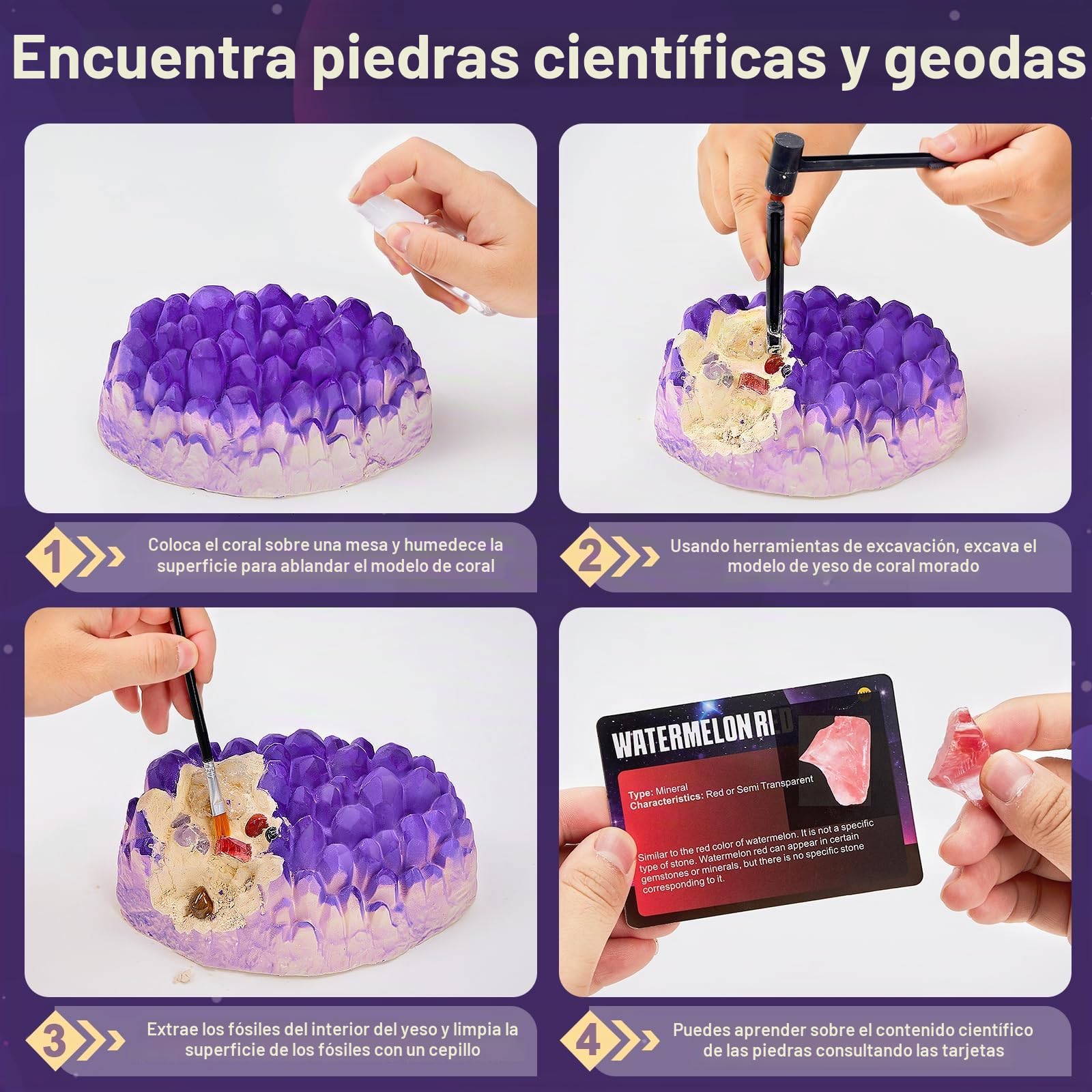 Kit de Excavación de Gemas y Minerales, Piedras y Cristales Naturales, Excava 12 Fósiles Prehistóricos Genuinos, Geoda, Regalo para Niños y Niñas 3-12 Años