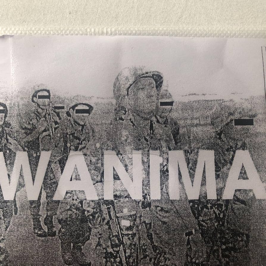 WANIMA デモ CD Amazon.co.jp: WANIMA HOPE デモ音源 DEMO インポート時の1度