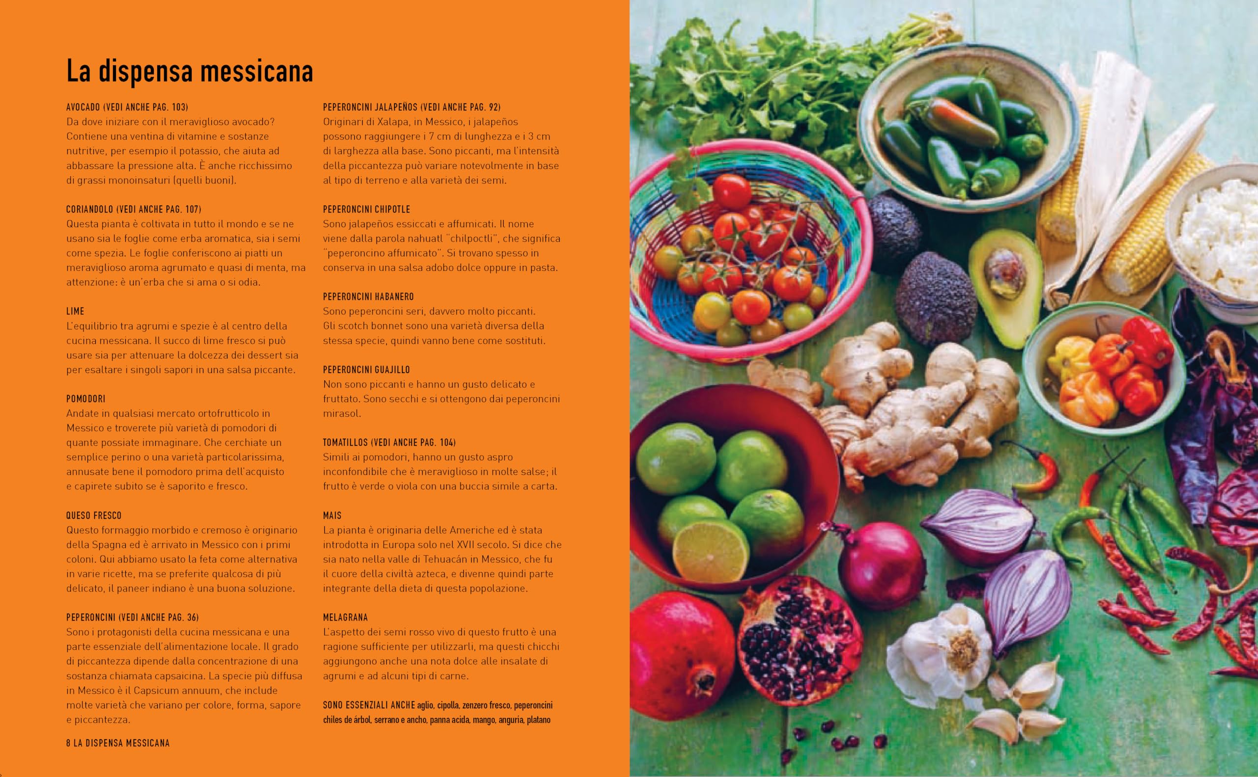La vera cucina messicana