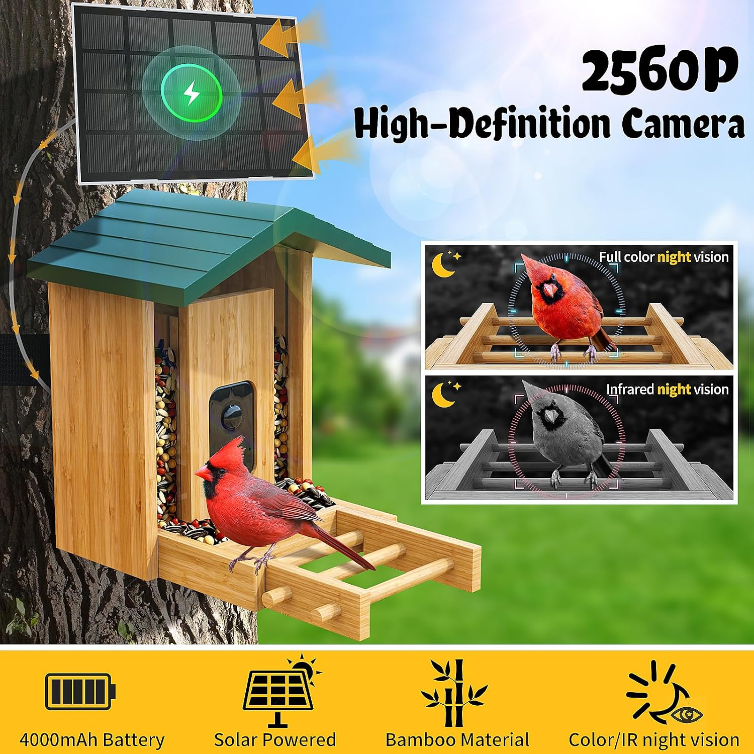 Bird Feeder with Solar Panel and Night Vision Details