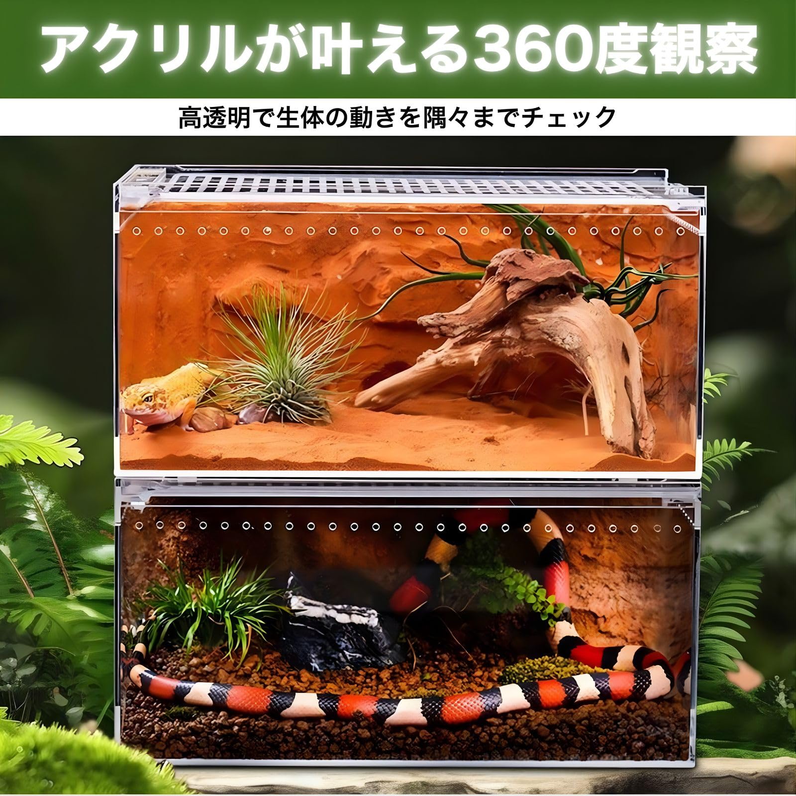 Amazon | SESHIS 爬虫類 ケージ ボックス 飼育 ケース アクリル