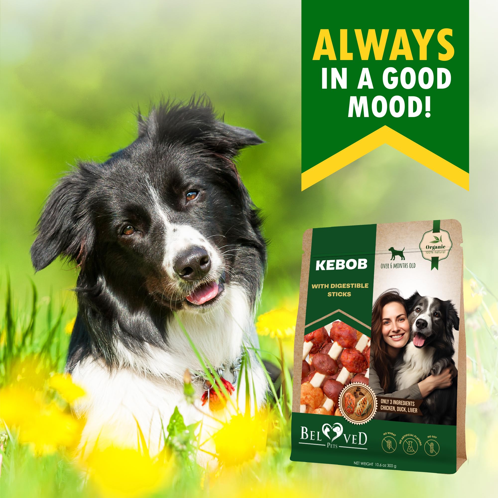 Golosinas de cuero crudo para perros, brochetas sin carne de pato y pollo de grado humano, 300 g, aperitivos secos naturales para mascotas y masticables de larga duración sin cereales para perros