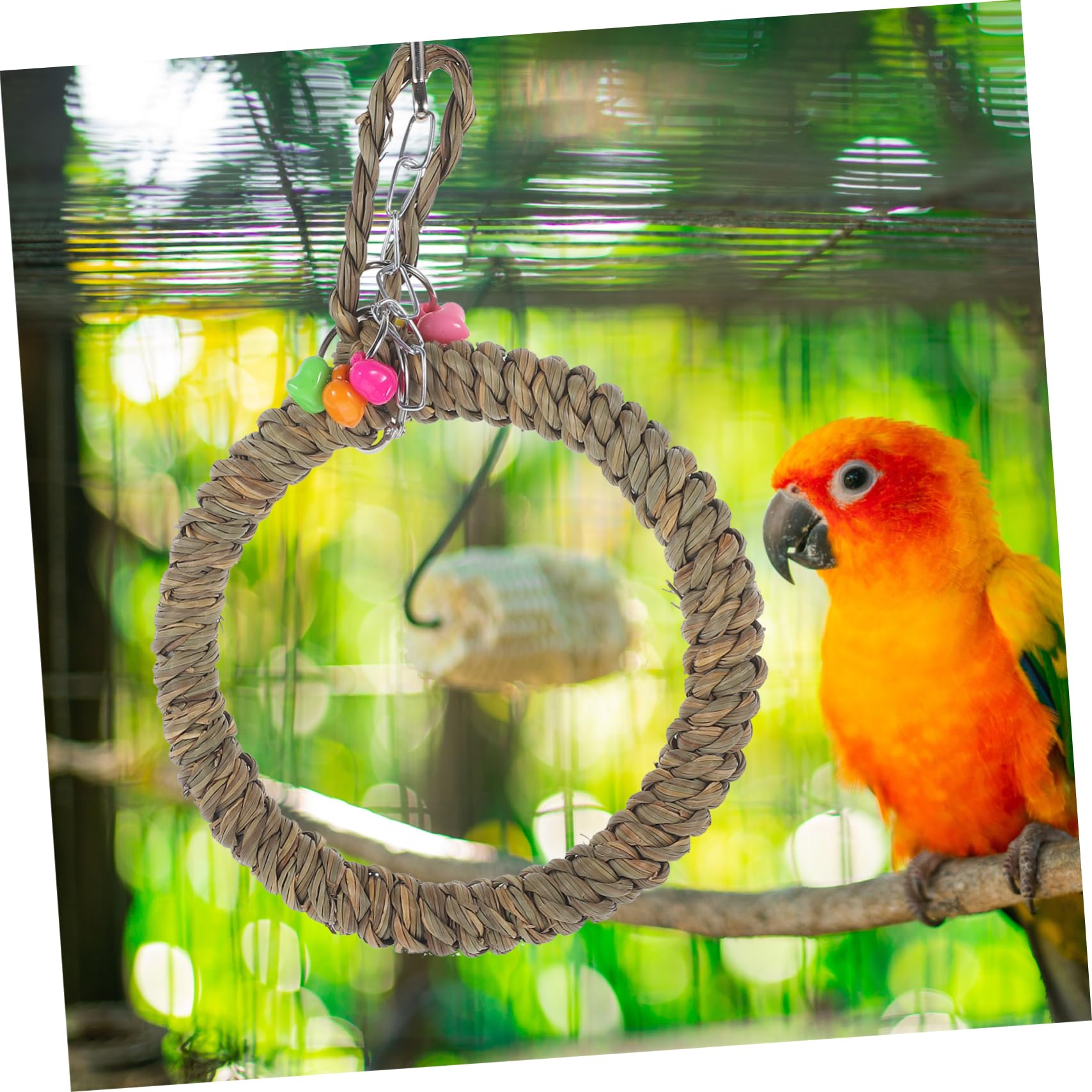 BESPORTBLE 5stücke Bird Swing Toy Für Papageien Hängendes Kletterspielzeug Aus Hochwertigem Material Lustiges Spielzeug Für Wellensittiche Und Nymphensittiche Bequeme Ruhe Und