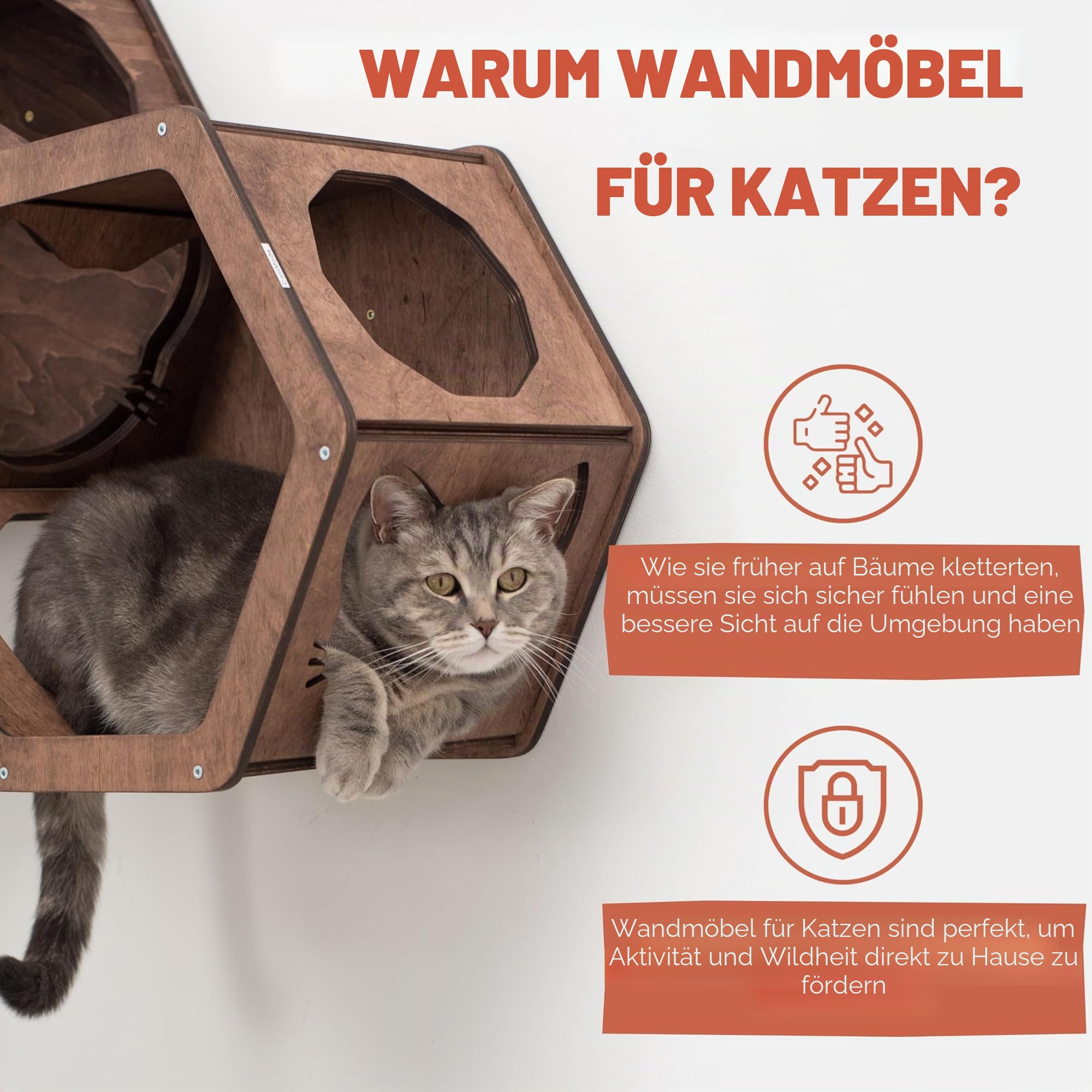 Wand-Katzenregale aus Holz, Katzen-Wandregale, Möbel – Katzenregal aus Holz, Wandmontage, Möbel – Hauskatzen, rustikale Dekoration, Katzenliebhaber-Geschenk