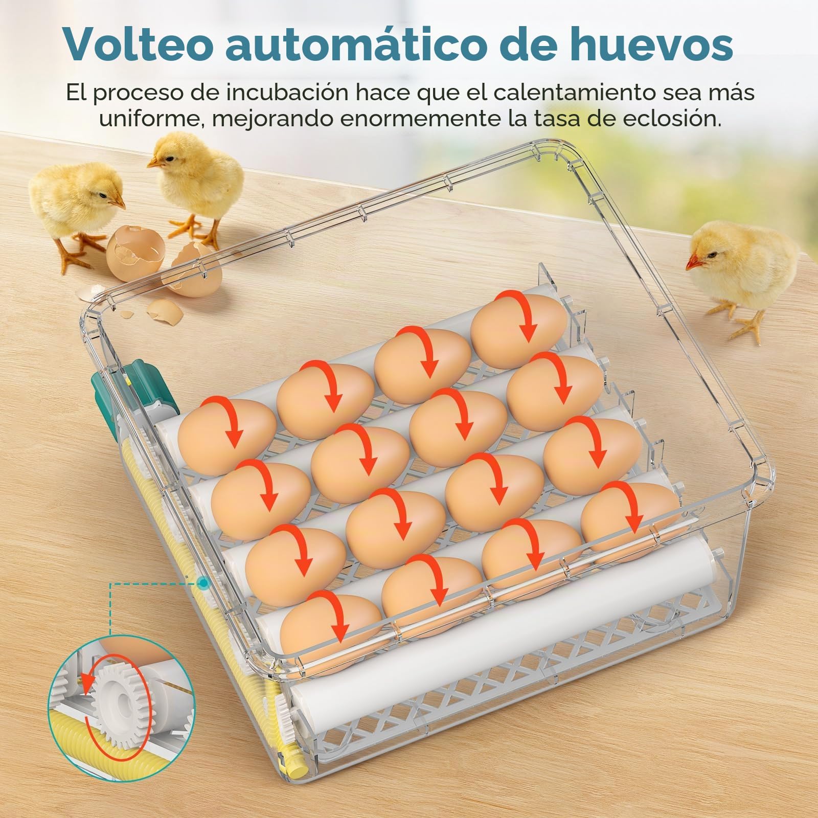Incubadora Huevos Gallina, Incubadora de 16-64 Huevos con Volteo Automático de Huevos y Humidificación Automática, Fuente de Alimentación Dual, Pantalla LED, Lámpara de Huevo (16 Huevos)