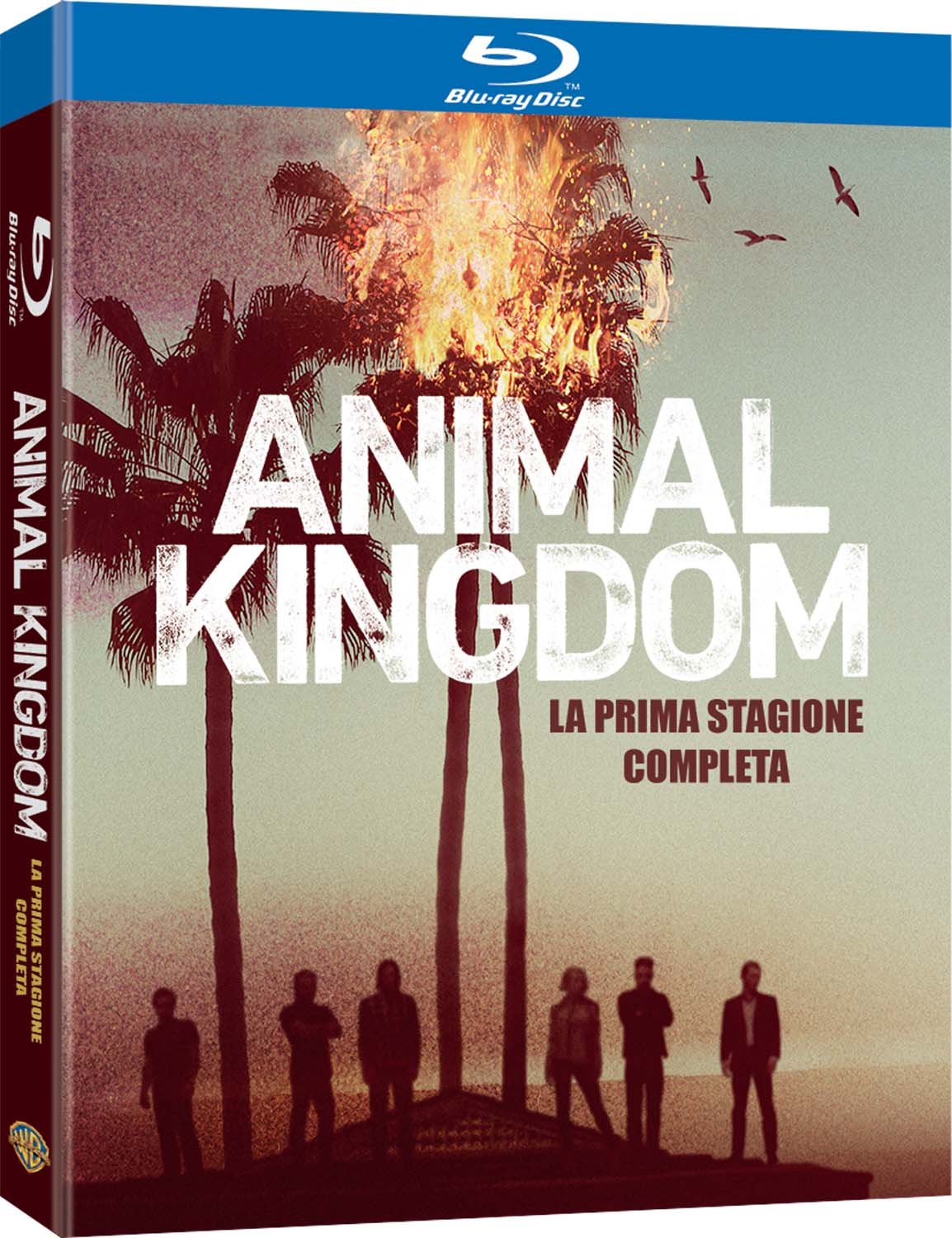 animal kingdom - season 01 (2 blu-ray) box set BluRay Italian Import