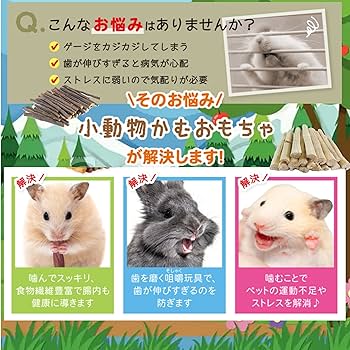 【うめりんご】至上の餌X 20kg うめりんご】至上の餌X 20kg 志賀高原BUNBUN