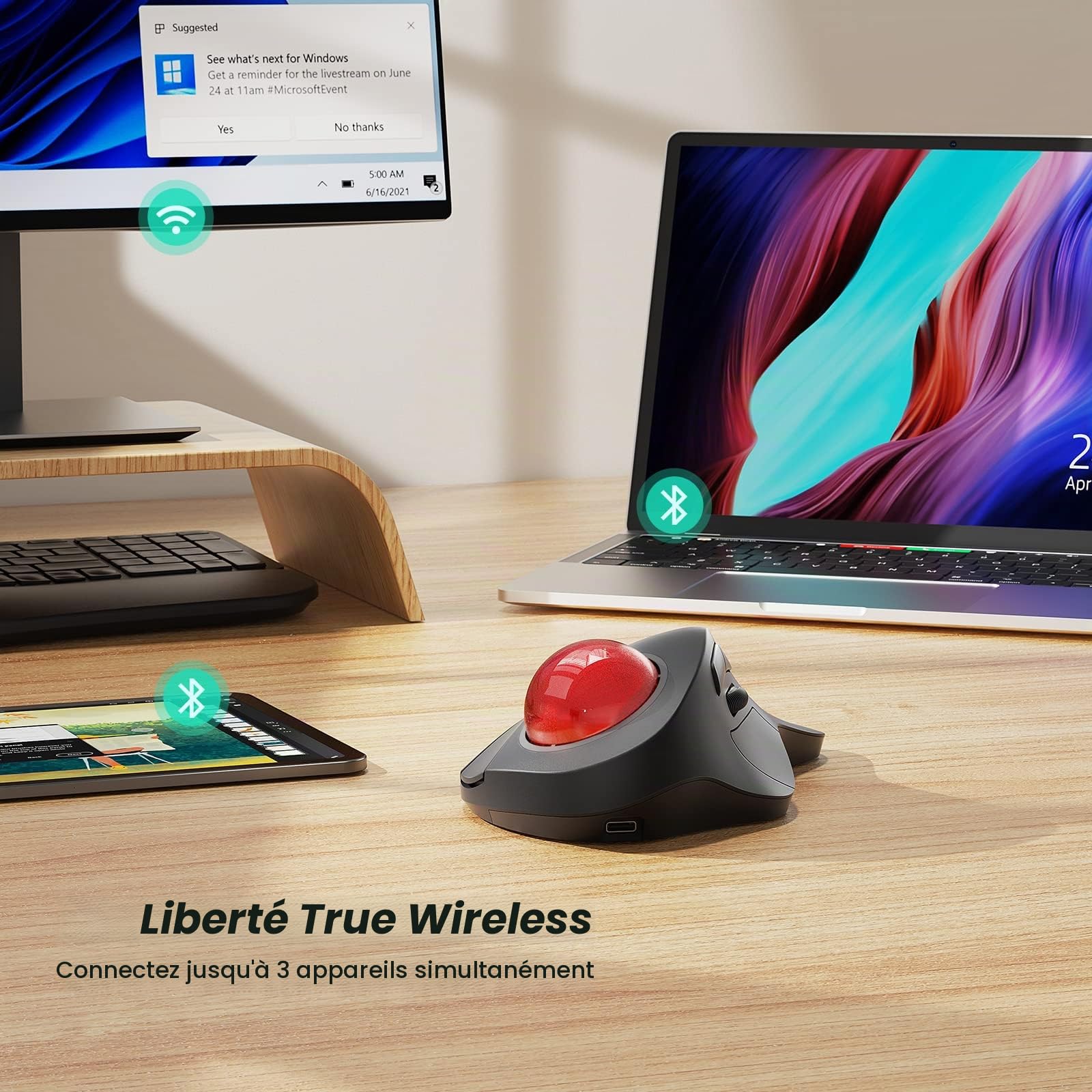 Nulea Souris Trackball sans Fil, Design Ergonomique Rechargeable, contrôle de l'index avec 5 DPI réglables, Connexion à 3 appareils (Bluetooth ou USB)