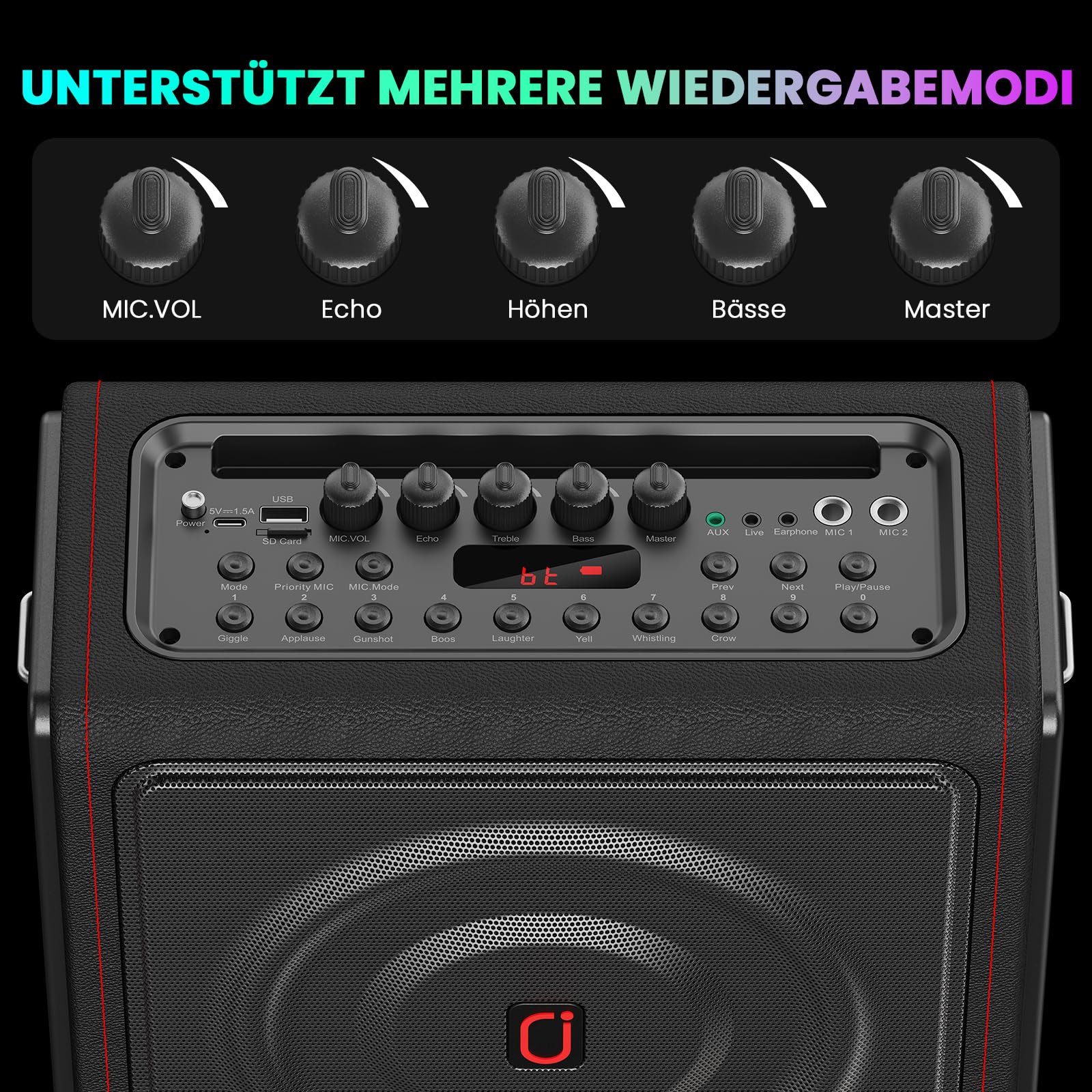 HWWR Karaoke Maschine mit 2 Mikrofone Tragbarer Bluetooth Lautsprecher mit Lichteffekte für Erwachsene/Kinder, Unterstützt TF/USB, FM, Rec, AUX in, TWS für Party