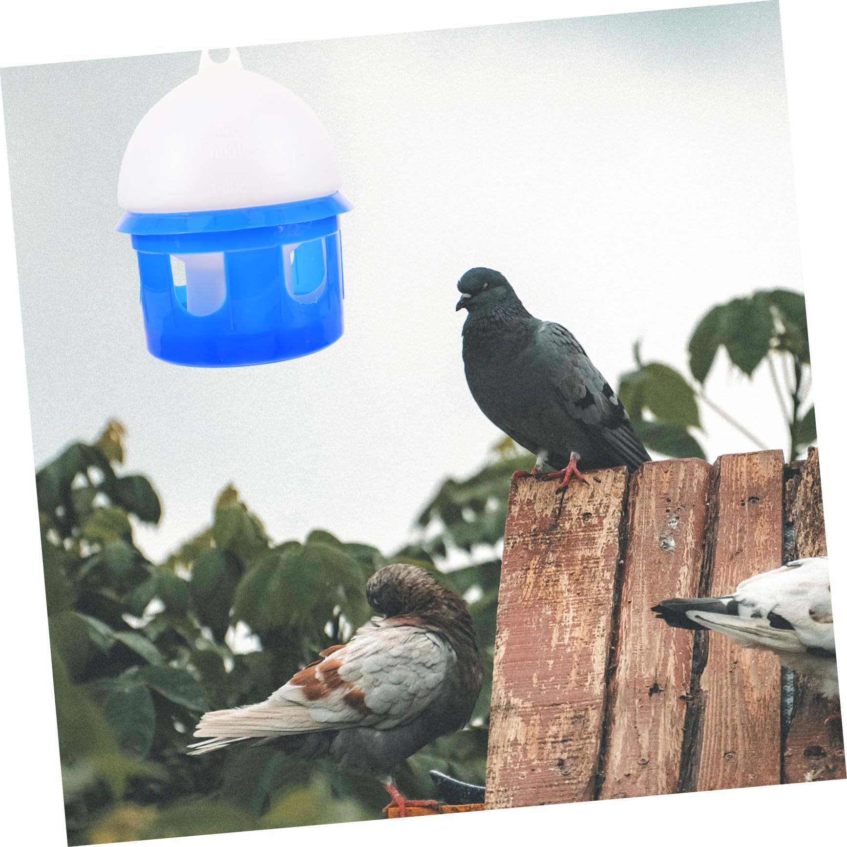 Bebedero Automático para Dispensador De Agua para Pájaros Comedero para para Jardín o Terraza