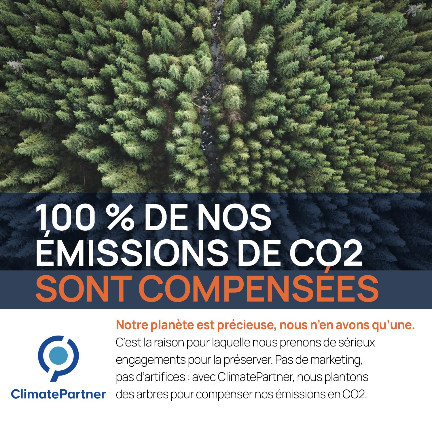 Argent Colloïdal 40 PPM 1000 ml - Supérieur au 15ppm & 20ppm - Oligo élément bio disponible - Liquide 100% Naturel - Pour famille & Animaux