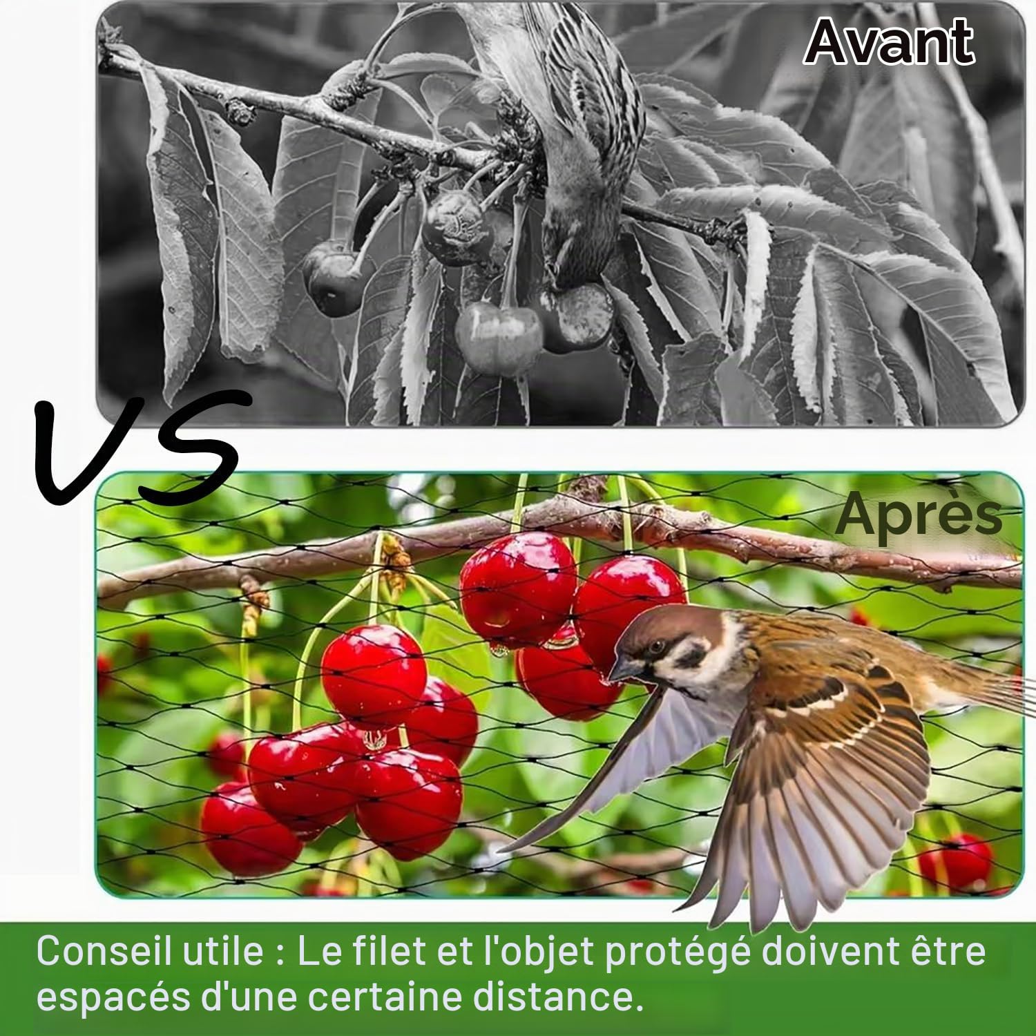 30x15m Filet Anti Oiseaux，Filet Poule，Anti Pigeon Réutilisable pour Volière,Maille 5x5cm,et Résiste Aux Intempéries pour Protéger Potagers Fruits Contre,Résistant aux Intempéries et aux UV