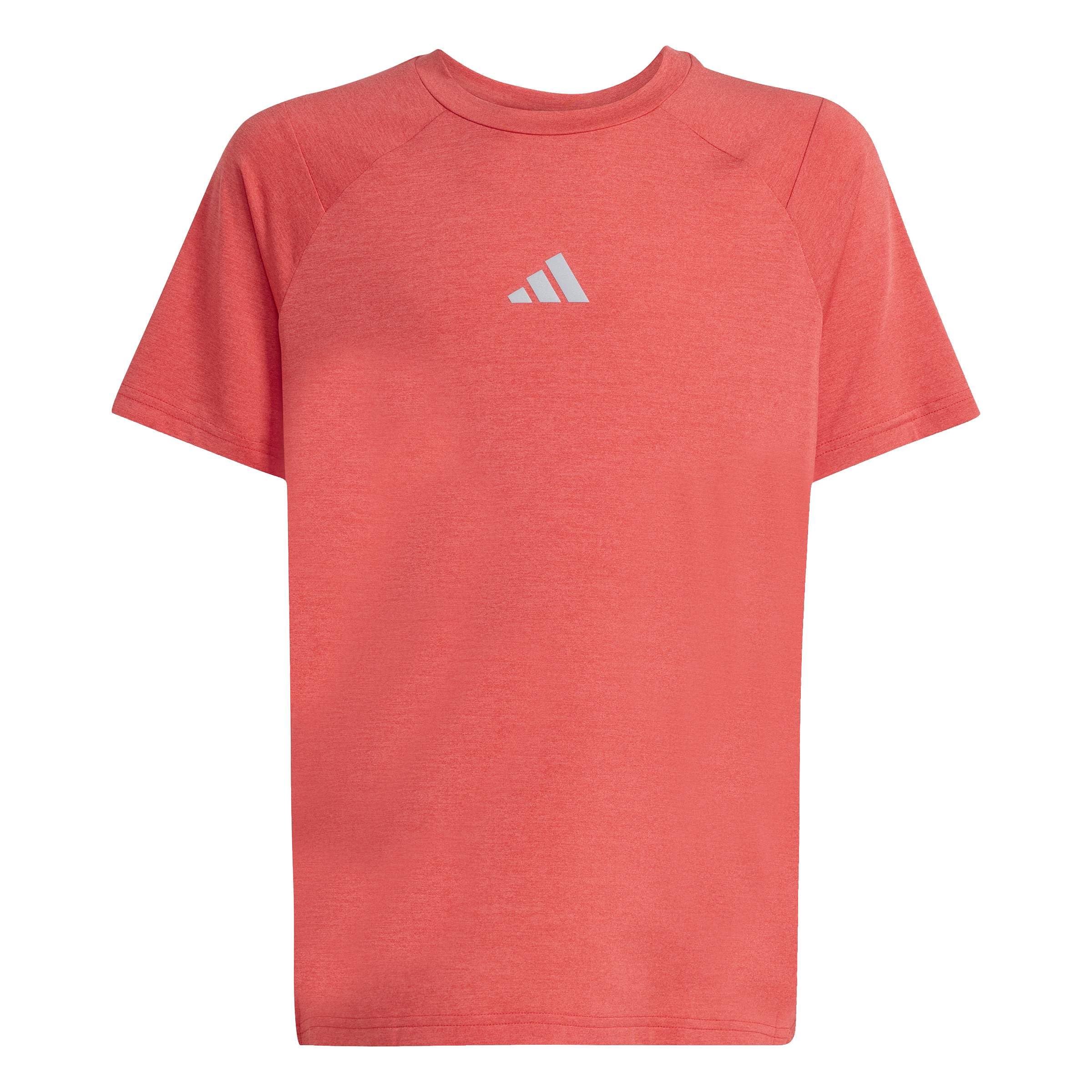 adidas Boy's GOTO PZ T-Shirt, Dusky Petrol/Dusky Ink/Reflective Silver, 13-14 Years