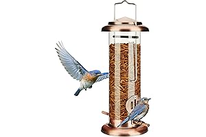 Kingsyard Mealworm Feeder for Hanging Outside