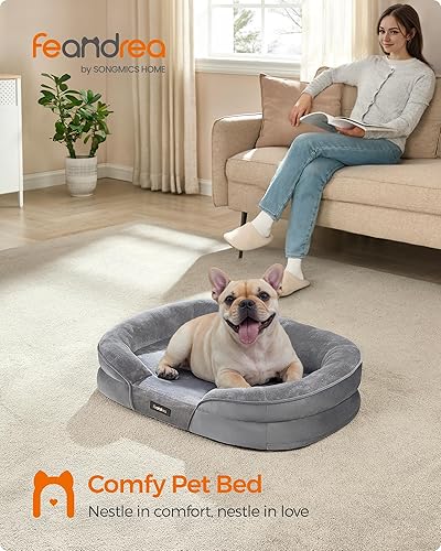 Miniatura 2 de Feandrea Cama para perro, sofá cama ortopédica mediana para perro, 30 x 20 x 7 pulgadas, espuma de jaula de huevos, forro impermeable, bordes