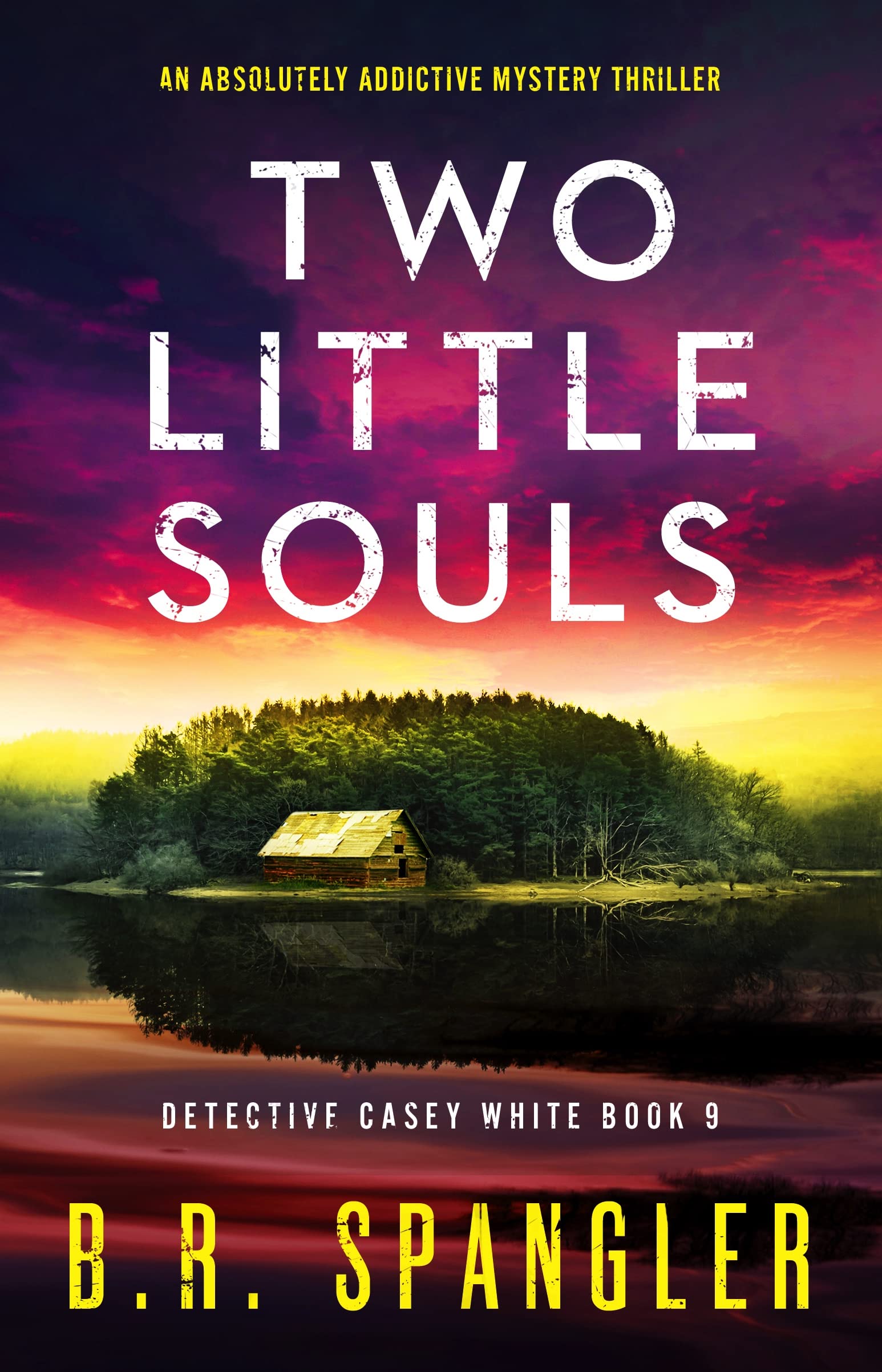 Two Little Souls: An absolutely addictive mystery thriller (Detective Casey White Book 9)