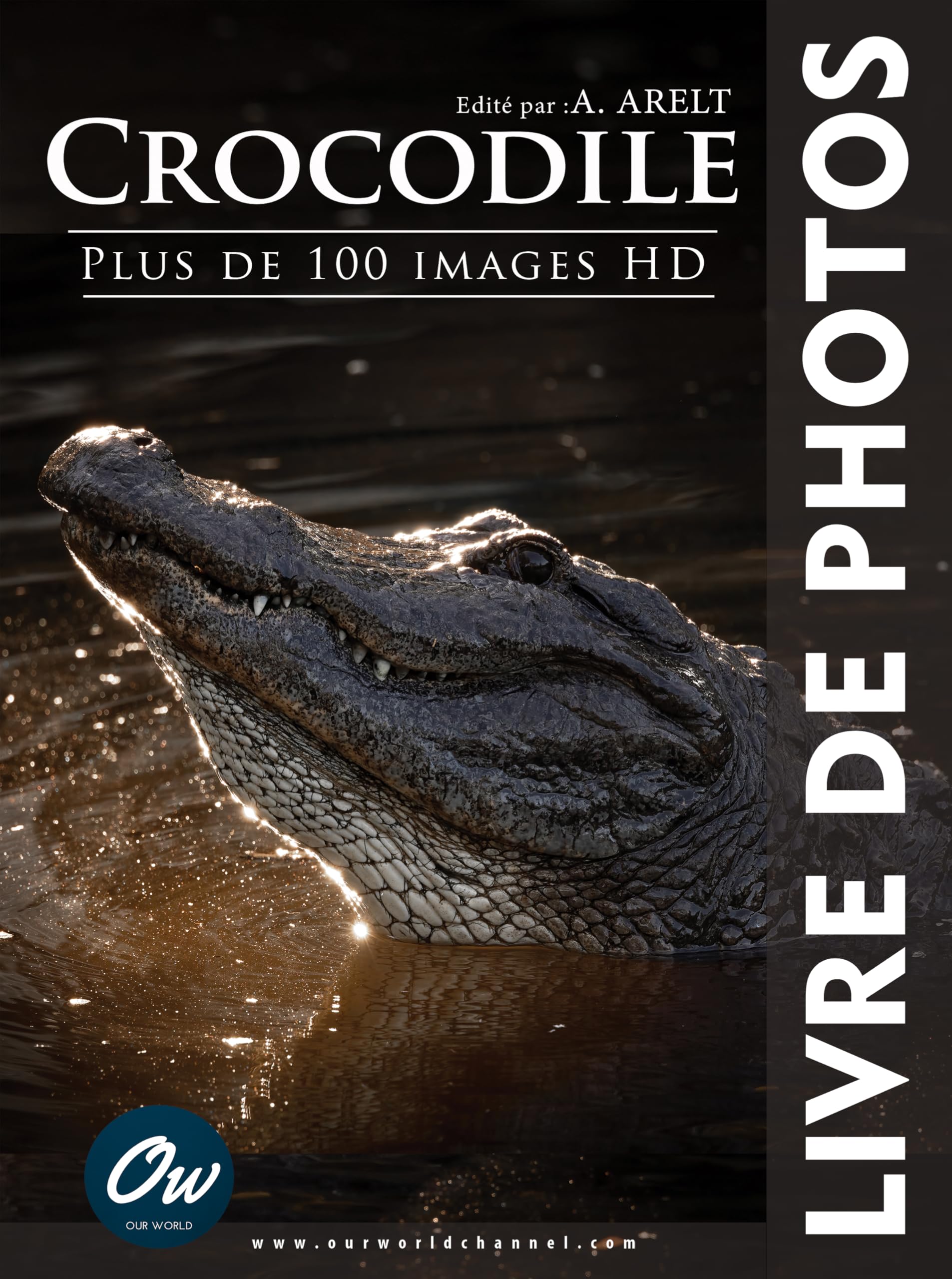 Crocodile livre de photos pour observer les détails des reptiles