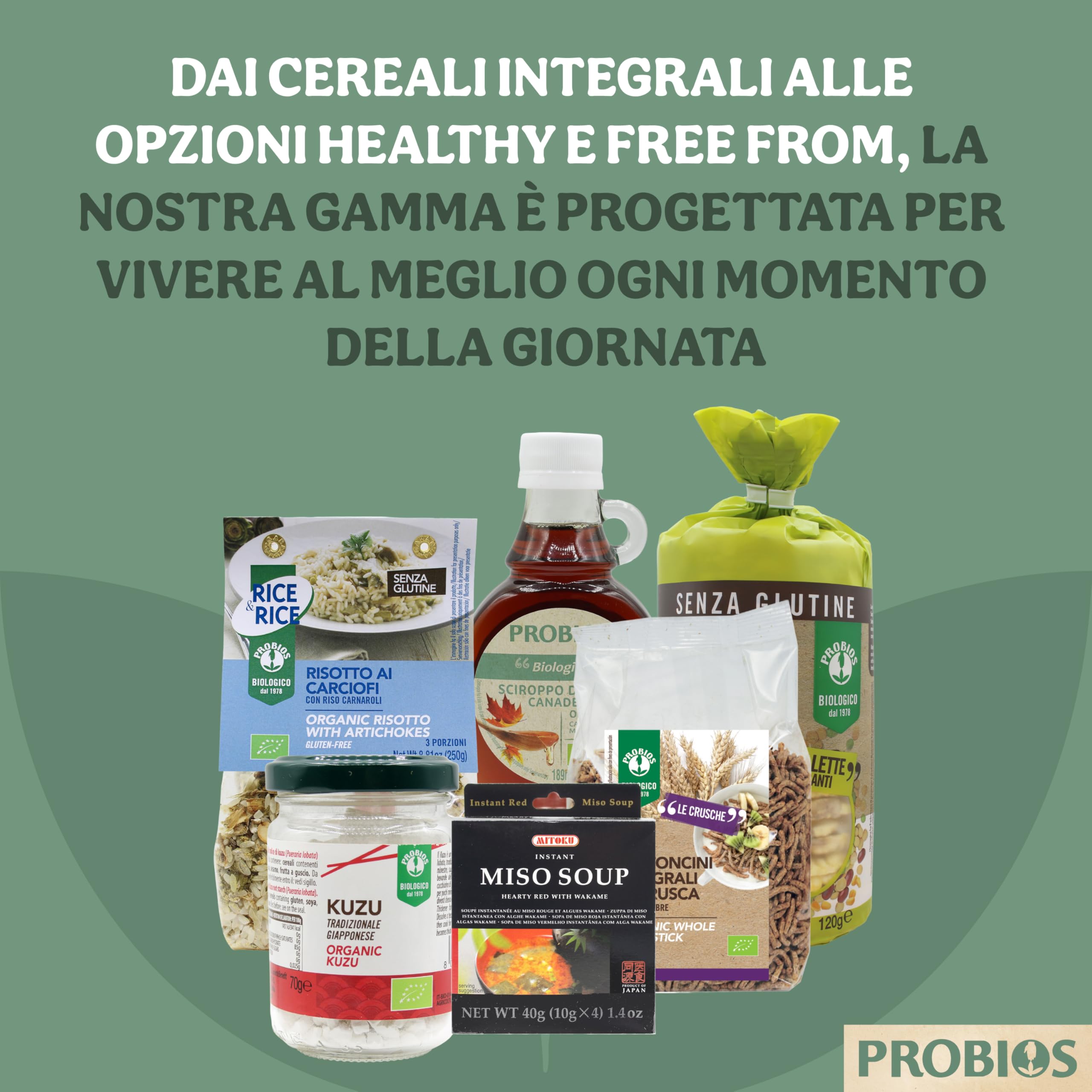 Probios Galettes de Sarrasin Bio - Croquantes et Savoureuses Sans Gluten - Source de Fibres et Protéines Végétales - Pack de 12 x 100 g