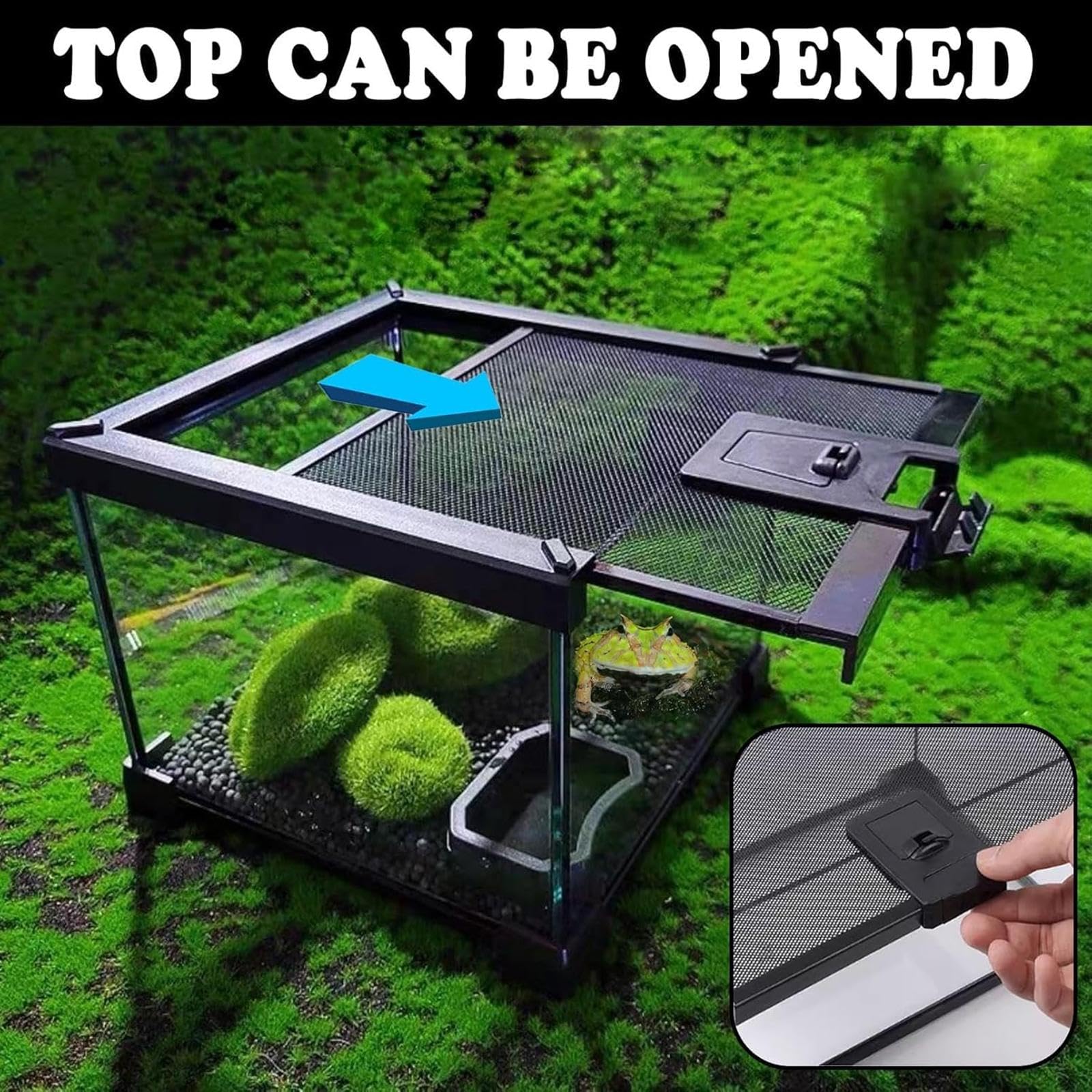 Generic Mini Terrario de Cristal para Reptiles, Terrario para Mascotas Trepadoras, Caja de Alimentación, Terrario de Cría para Serpientes, Geckos Y Arañas.