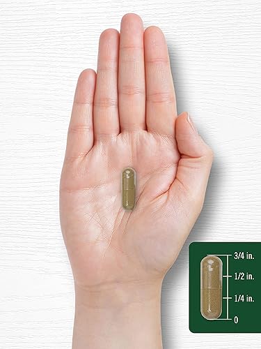 Miniatura 7 de Carlyle Raíz de diente de león | 1800 mg | 300 cápsulas | Suplemento sin OMG, sin gluten