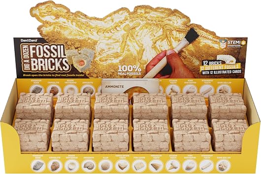 Dan&Darci Dig a Dozen Fossil Bricks - Break Open 12 Blocks and Discover 12 Unique Real Fossils - Basket Stuffers Archaeology Science STEM - Birthday Gift