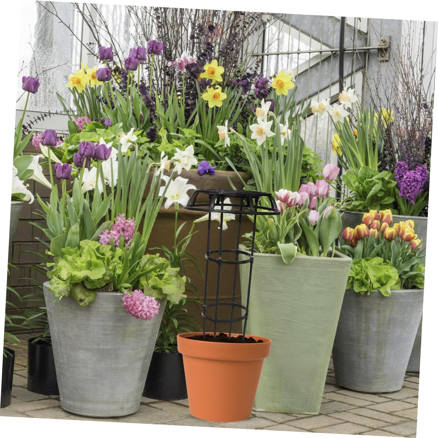 Sosoport Support De Plantes Grimpantes en Treillis Support De Plantes Robuste Et Polyvalent pour Plantes