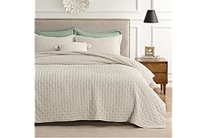Bedsure Beige Quilt Queen - Comfort & Elegance in One