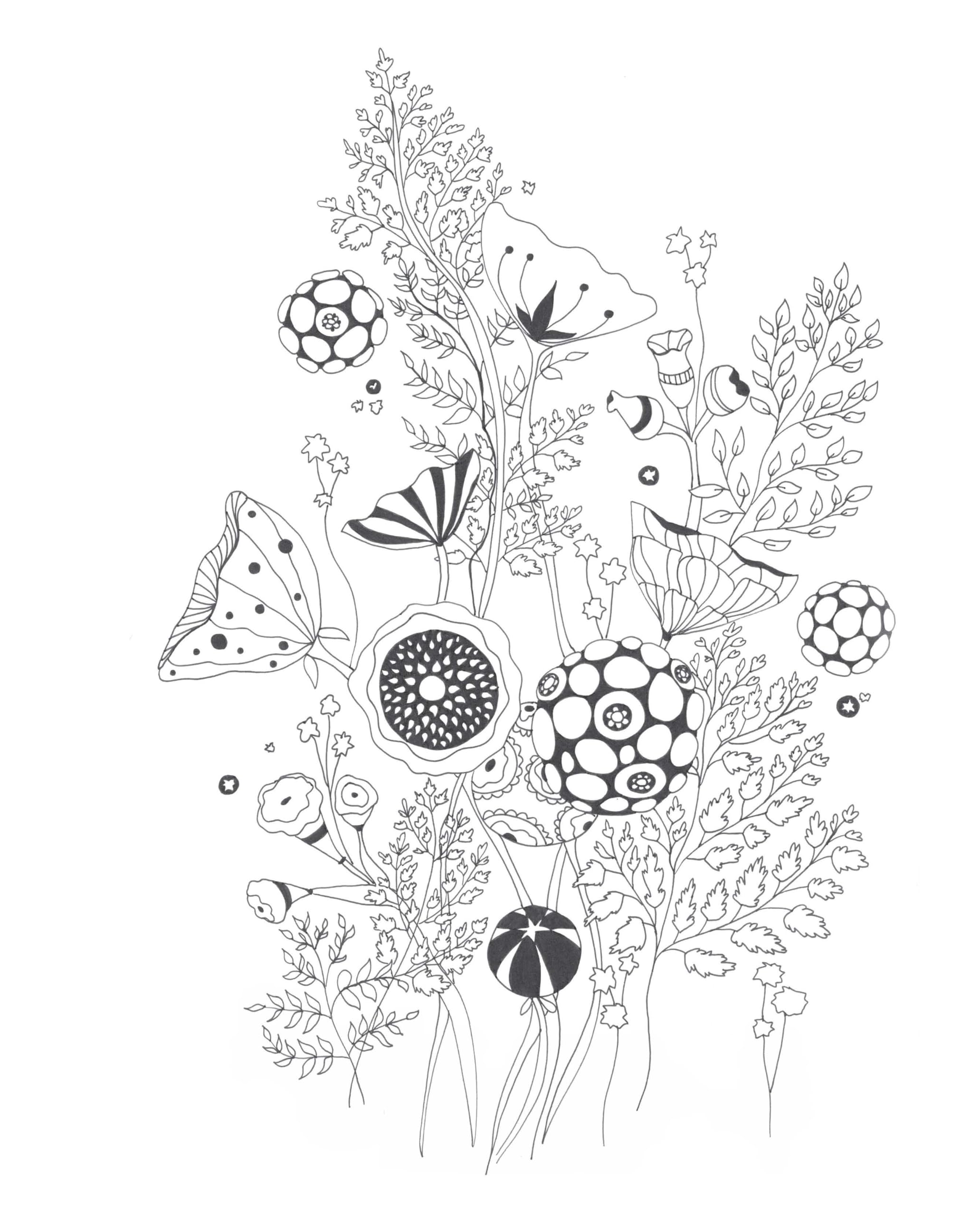 Botanical Wonderland: A Blissful Coloring Retreat (Coloring Wonderland)