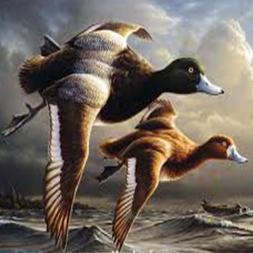Bigo Bird Hunter