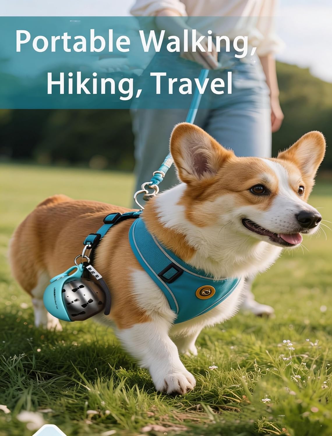 Dog Water Bottle for Small Dogs 10oz - 2-in-1 Stainless Steel Portable Travel Water Dispenser with Detachable Silicone Bowl, Leak Proof Puppy Walking Accessory for Hiking & Crate (2-red)